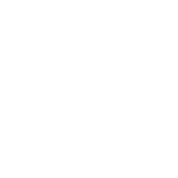 Ihya Institute